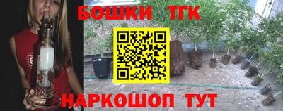 стафф Заволжье