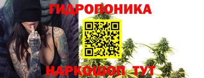 бошки Жуковский